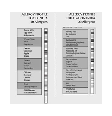 Allergy - Immunology
